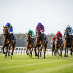 Each-Way Terms and Place Payout Fractions for UK Horse Racing Markets